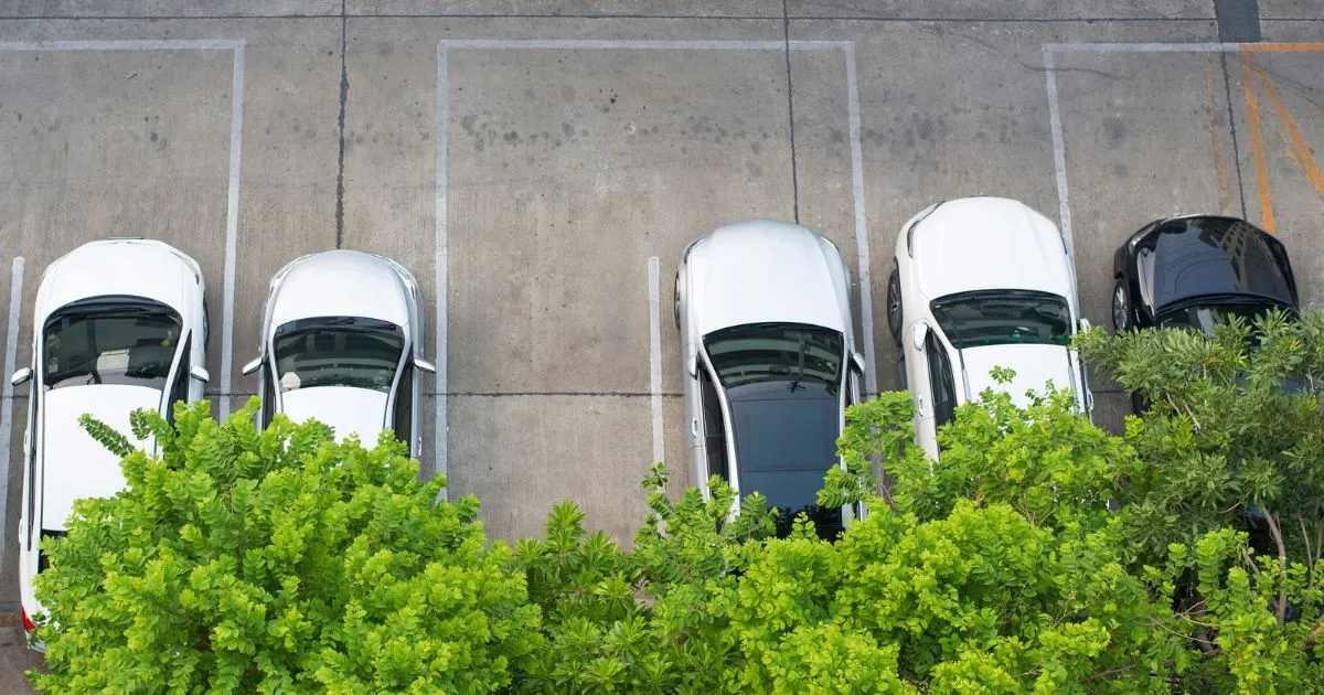 Pros and Cons of Using King St Parking Services Pros and Cons of Using King St Parking Services