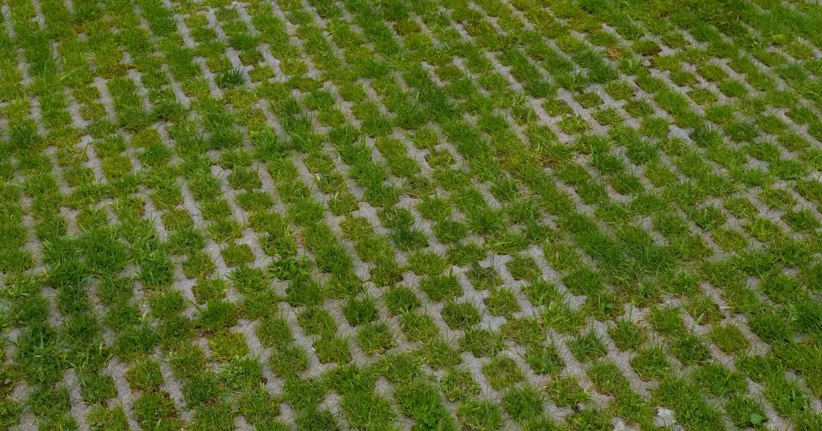Greening Parking Lots The Benefits of Permeable Pavement For The Environment Greening Parking Lots The Benefits of Permeable Pavement For The Environment
