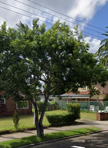 Parking, Garages And Car Spaces For Rent - Strathfield - Driveway Parking Near Train Station