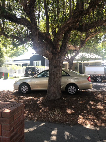 Parking, Garages And Car Spaces For Rent - Great Shaded Car Parking Space On Verge Under Tree Cover