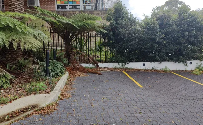 Parking For Rent - Secluded Parking Space Near The Light Rail In Randwick