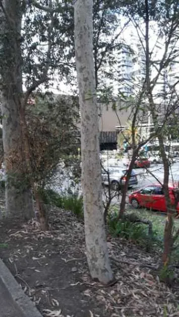 Parking For Rent - Garage For Rent At Macquarie Park Macquarie Park Parking For Rent - Garage For Rent At Macquarie Park Macquarie Park