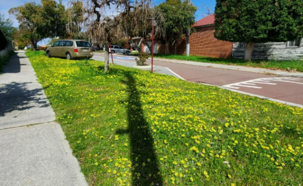 Parking For Rent - Car Parking On A Private Verge, Leederville Wa Parking For Rent - Car Parking On A Private Verge, Leederville Wa