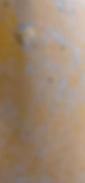 Parking For Rent - Wanted: Wanted Garage For Storage For Lease Parking For Rent - Wanted: Wanted Garage For Storage For Lease