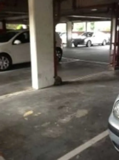 Parking For Rent - Near Randwick Racecourse Unsw Sports Stadiums Parking For Rent - Near Randwick Racecourse Unsw Sports Stadiums