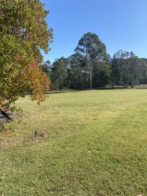 Property To Rent Property To Rent