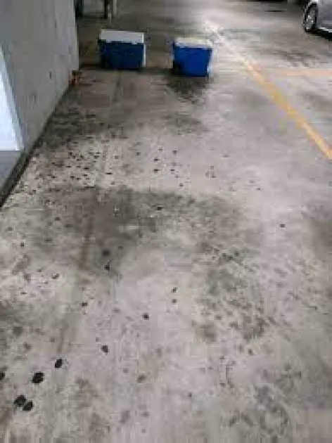 Parking For Rent - Secured Car Space For Rent - Parramatta Parking For Rent - Secured Car Space For Rent - Parramatta