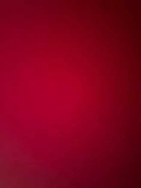 Parking For Rent - Under Cover Parking On Flood St Bondi.