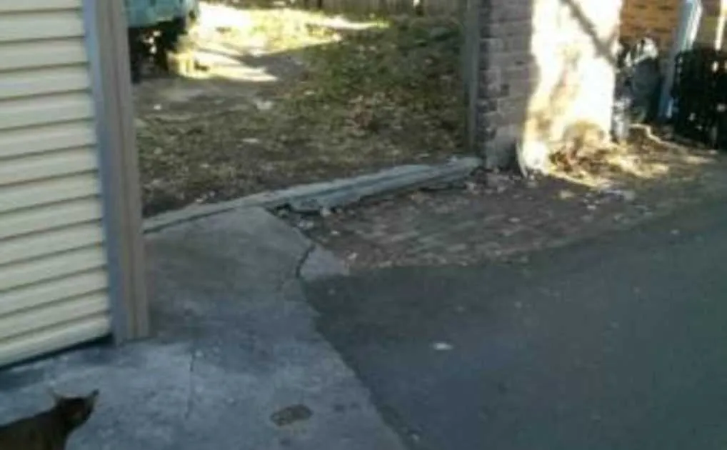 Parking For Rent - Woollahra - Open Parking Spot For Rent Parking For Rent - Woollahra - Open Parking Spot For Rent