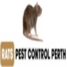 Rats Pest Control Perth