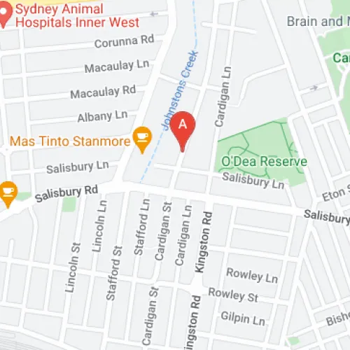 Parking, Garages And Car Spaces Near Cheminee Pty Limited, 118 Stanmore Rd, Stanmore, NSW, 2048 Now