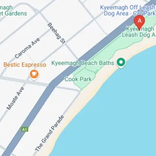 Cook Park, General Holmes Dr, Kyeemagh NSW 2216, Australia