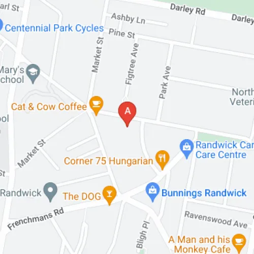 Parking For Rent - Randwick - Secure Double Lock Up Garage For Parking/storage