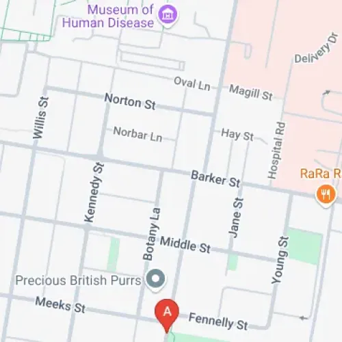 Parking For Rent - Kingsford / Randwick (next To Uni Nsw)