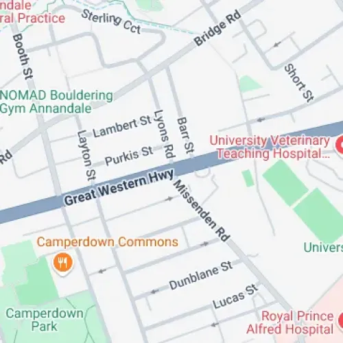 Parking For Rent - Wanted Long Term Secure Car Space Near Rpa $40 - 50 Pw (7days)