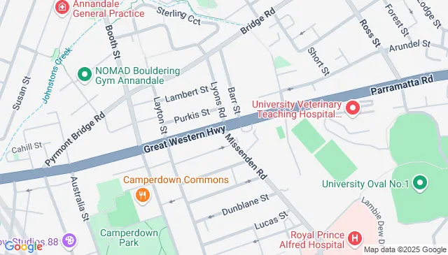 Parking For Rent - Wanted Long Term Secure Car Space Near Rpa $40 - 50 Pw (7days)